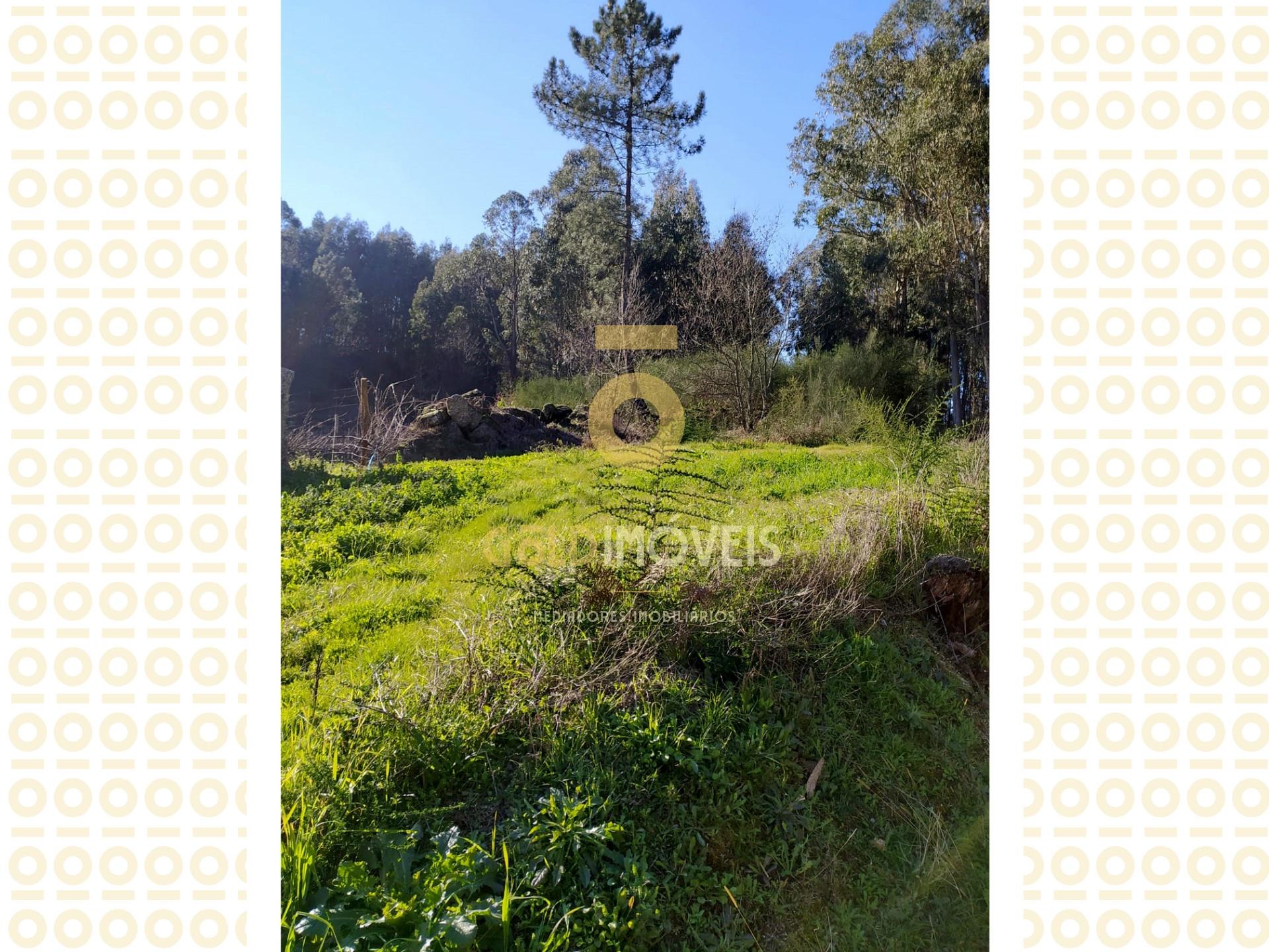 Terreno  Venda em Recezinhos (São Martinho),Penafiel