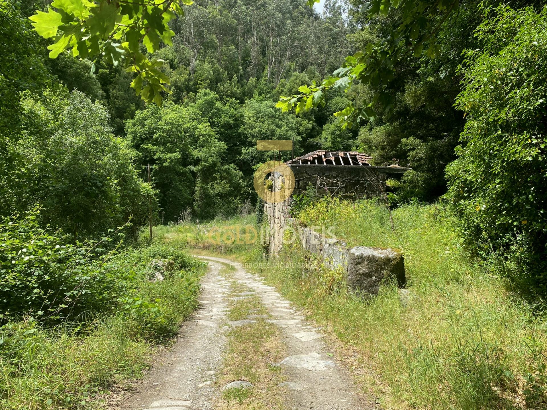 Quintinha T2 Venda em Abragão,Penafiel