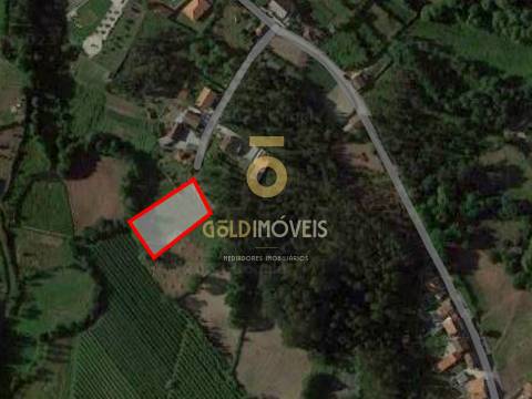 Terreno Rústico  Venda em Canedo, Vale e Vila Maior,Santa Maria da Feira