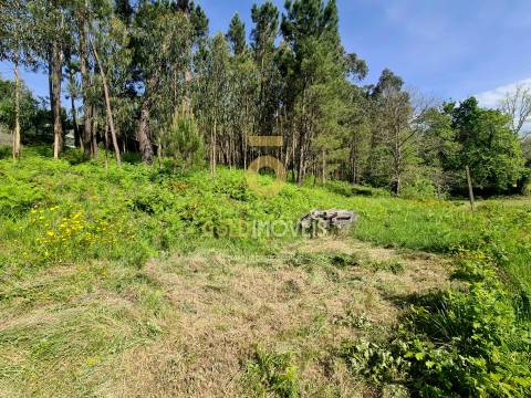 Terreno Rústico  Venda em Canedo, Vale e Vila Maior,Santa Maria da Feira