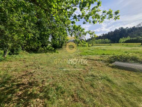 Terreno Rústico  Venda em Canedo, Vale e Vila Maior,Santa Maria da Feira