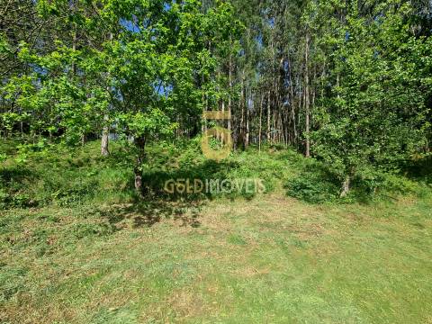 Terreno Rústico  Venda em Canedo, Vale e Vila Maior,Santa Maria da Feira