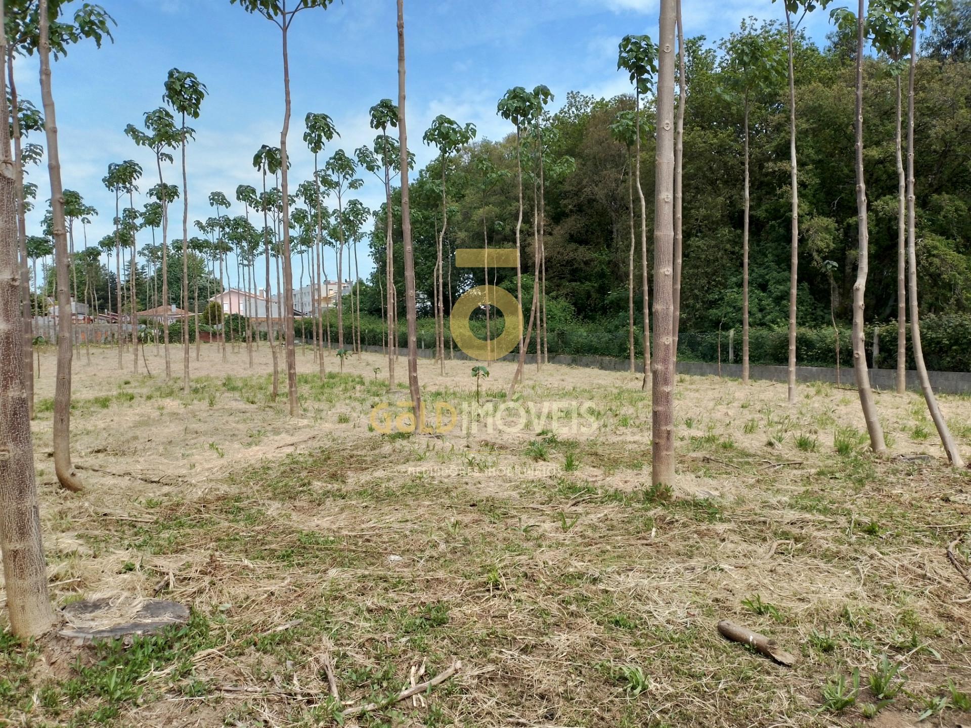 Terreno Para Construção  Venda em Argoncilhe,Santa Maria da Feira