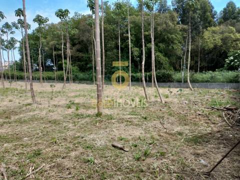 Terreno Para Construção  Venda em Argoncilhe,Santa Maria da Feira