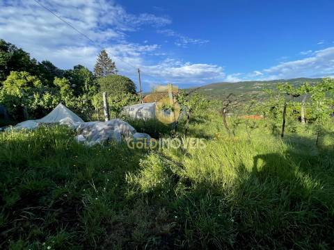 Moradia V2 para recuperação em Bairros &#124; Castelo de Paiva