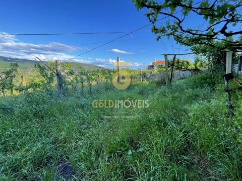 Moradia V2 para recuperação em Bairros &#124; Castelo de Paiva