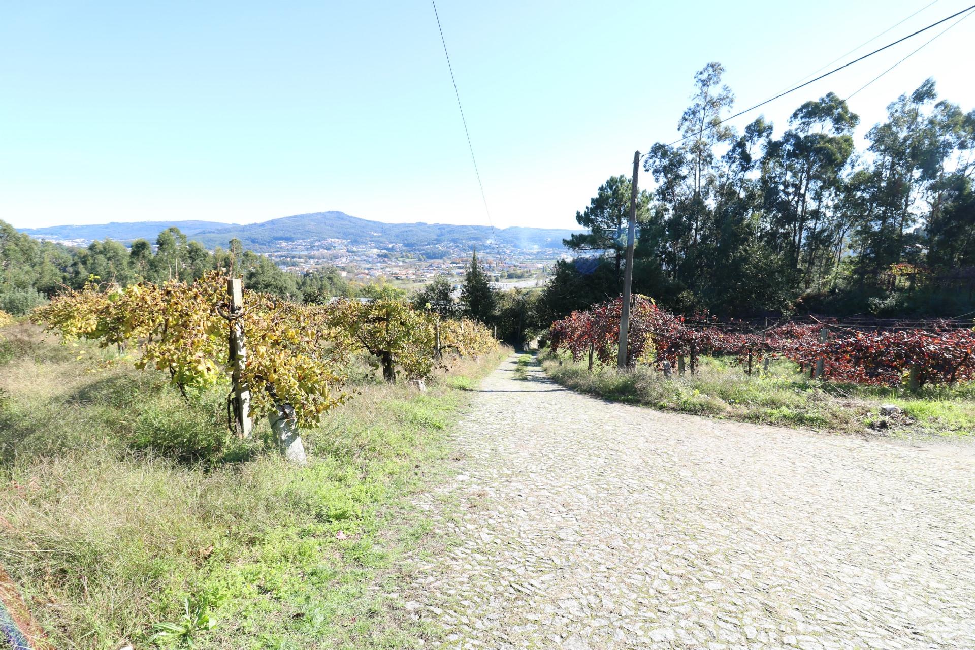 Quinta T3 Venda em Figueiredo,Braga