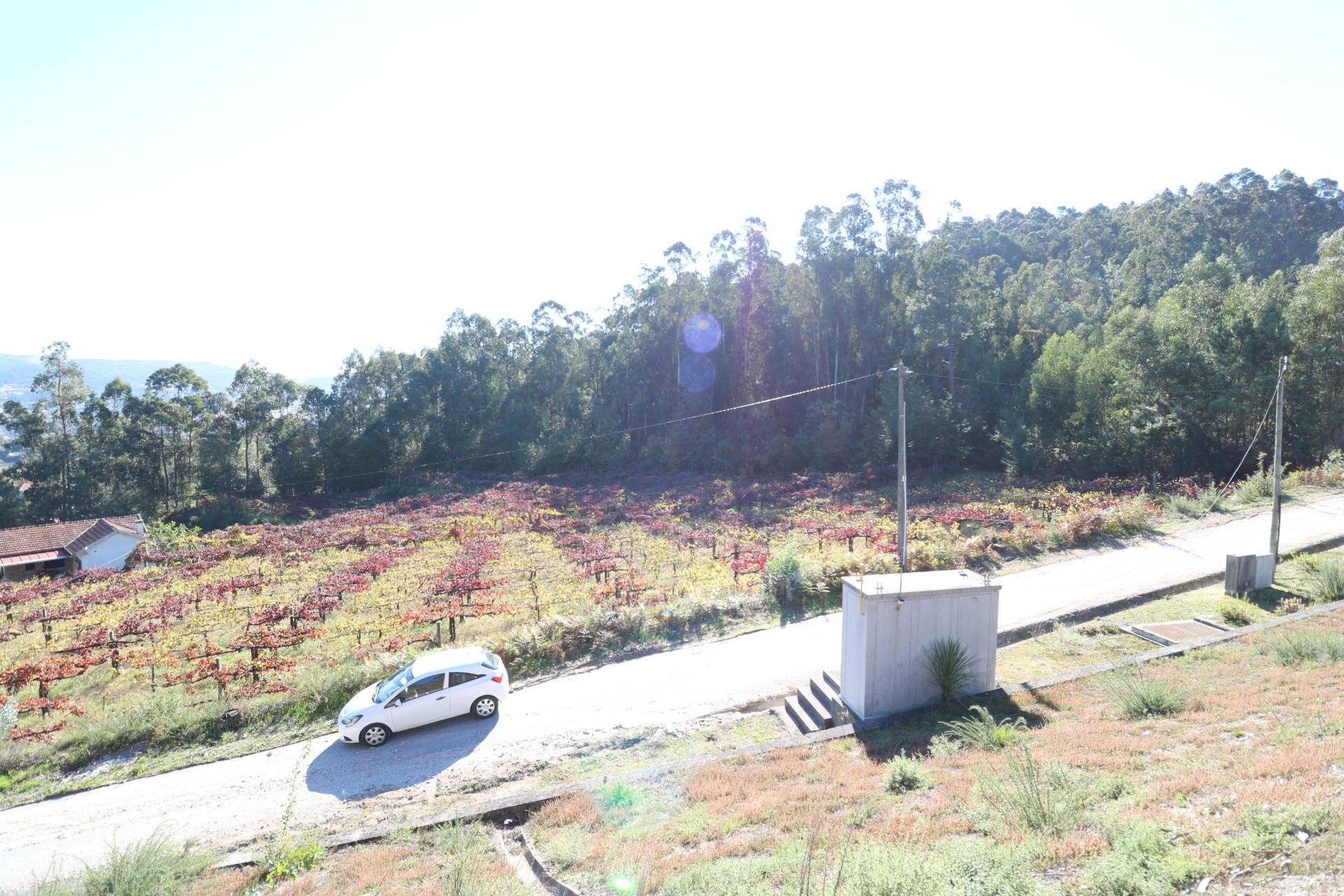 Quinta T3 Venda em Figueiredo,Braga