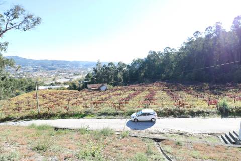 Quinta T3 Venda em Figueiredo,Braga