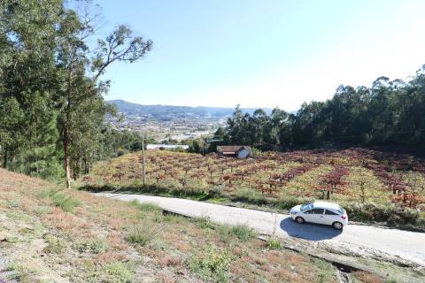 Quinta T3 Venda em Figueiredo,Braga