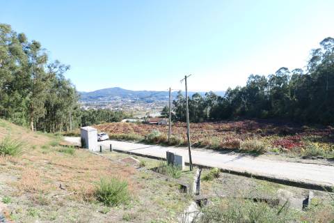 Quinta T3 Venda em Figueiredo,Braga