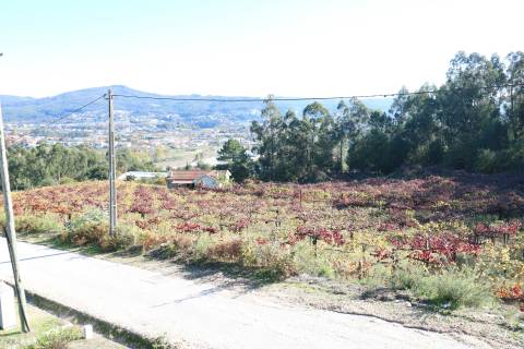 Quinta T3 Venda em Figueiredo,Braga