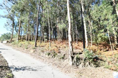 Quinta T3 Venda em Figueiredo,Braga