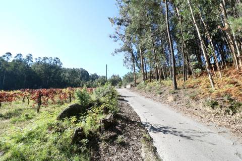 Quinta T3 Venda em Figueiredo,Braga