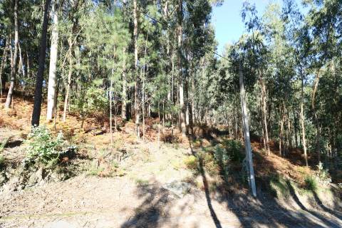 Quinta T3 Venda em Figueiredo,Braga