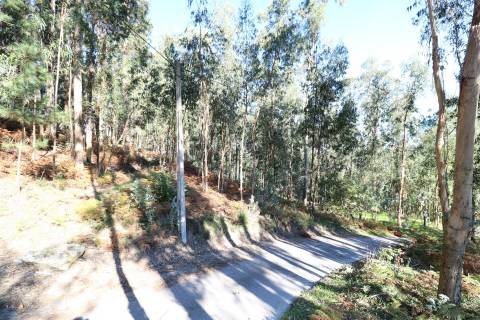 Quinta T3 Venda em Figueiredo,Braga