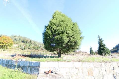 Terreno  Venda em Morreira e Trandeiras,Braga