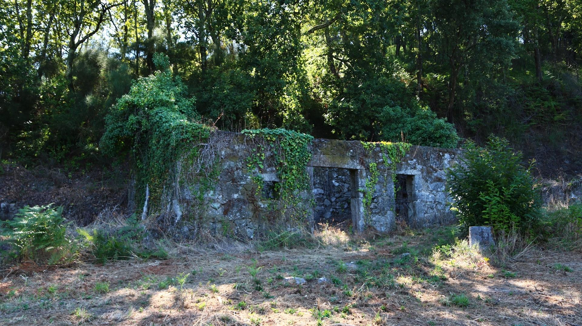 Quinta  Venda em Esqueiros, Nevogilde e Travassós,Vila Verde