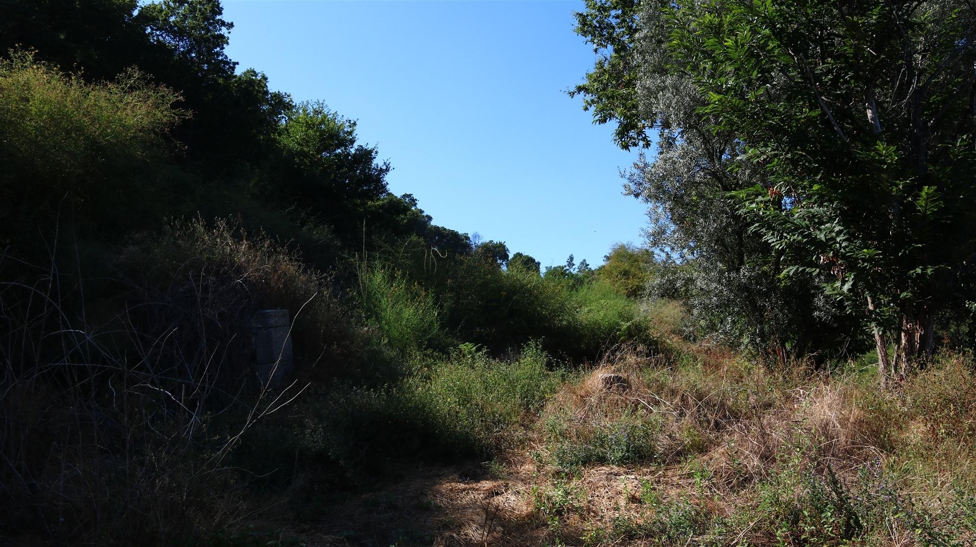 Quinta  Venda em Esqueiros, Nevogilde e Travassós,Vila Verde