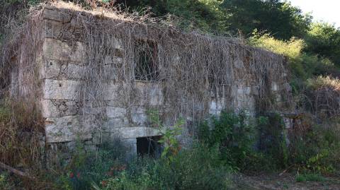 Quinta  Venda em Esqueiros, Nevogilde e Travassós,Vila Verde