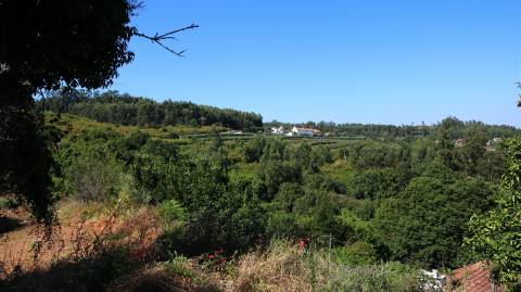 Quinta  Venda em Esqueiros, Nevogilde e Travassós,Vila Verde