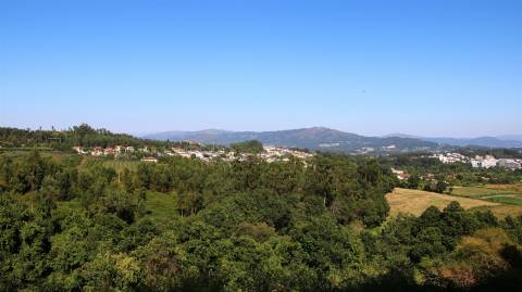 Quinta  Venda em Esqueiros, Nevogilde e Travassós,Vila Verde