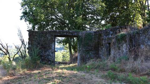 Quinta  Venda em Esqueiros, Nevogilde e Travassós,Vila Verde