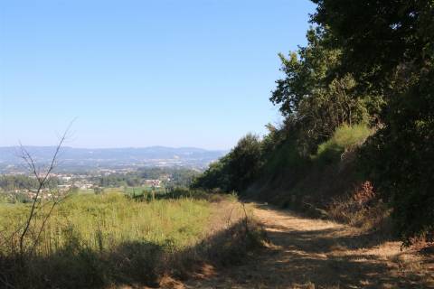 Quinta  Venda em Esqueiros, Nevogilde e Travassós,Vila Verde