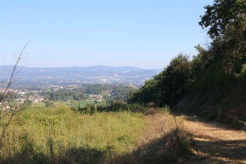 Quinta  Venda em Esqueiros, Nevogilde e Travassós,Vila Verde