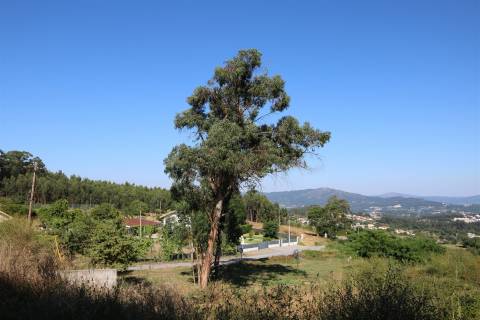 Quinta  Venda em Esqueiros, Nevogilde e Travassós,Vila Verde