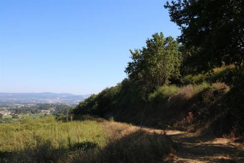 Quinta  Venda em Esqueiros, Nevogilde e Travassós,Vila Verde