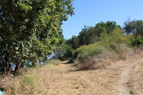 Quinta  Venda em Esqueiros, Nevogilde e Travassós,Vila Verde