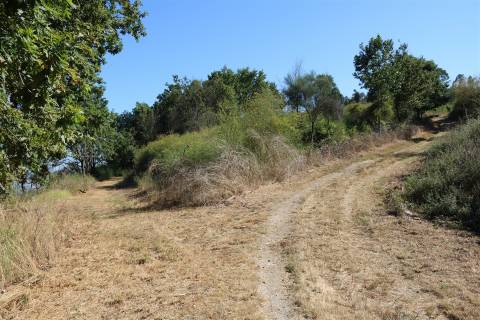 Quinta  Venda em Esqueiros, Nevogilde e Travassós,Vila Verde