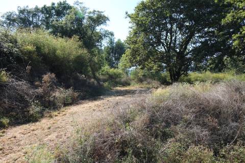 Quinta  Venda em Esqueiros, Nevogilde e Travassós,Vila Verde