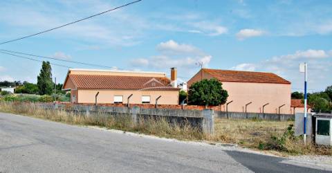 Terreno com viabilidade a 5 min de Tomar – 1120 m²