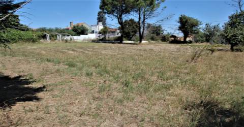 Terreno Para Construção  Venda em Beco,Ferreira do Zêzere