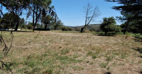 Terreno Para Construção  Venda em Beco,Ferreira do Zêzere