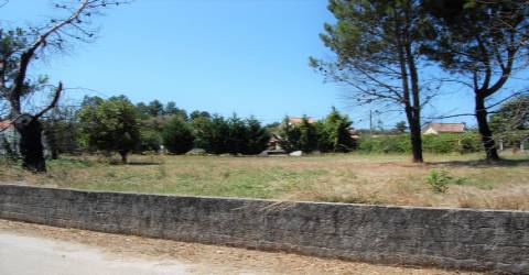 Terreno Para Construção  Venda em Beco,Ferreira do Zêzere