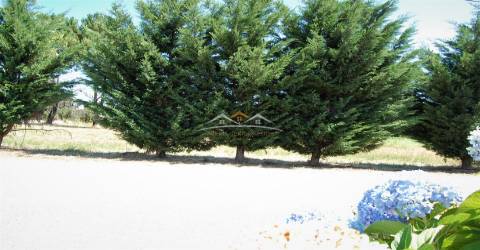 Terreno Para Construção  Venda em Beco,Ferreira do Zêzere