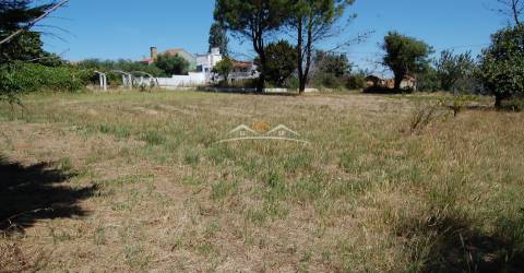 Terreno Para Construção  Venda em Beco,Ferreira do Zêzere