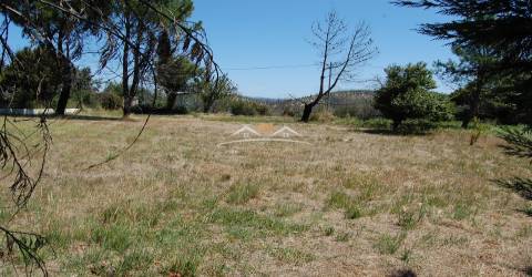 Terreno Para Construção  Venda em Beco,Ferreira do Zêzere