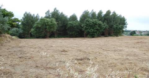 Terreno Para Construção  Venda em Olalhas,Tomar