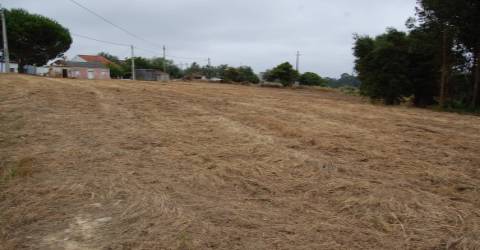 Terreno Para Construção  Venda em Olalhas,Tomar