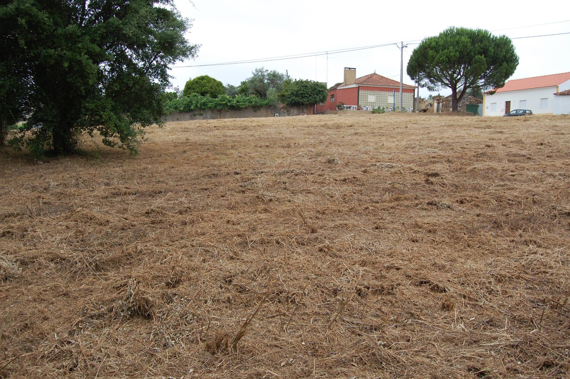 Terreno Para Construção  Venda em Olalhas,Tomar