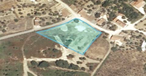 Terreno Para Construção  Venda em Olalhas,Tomar