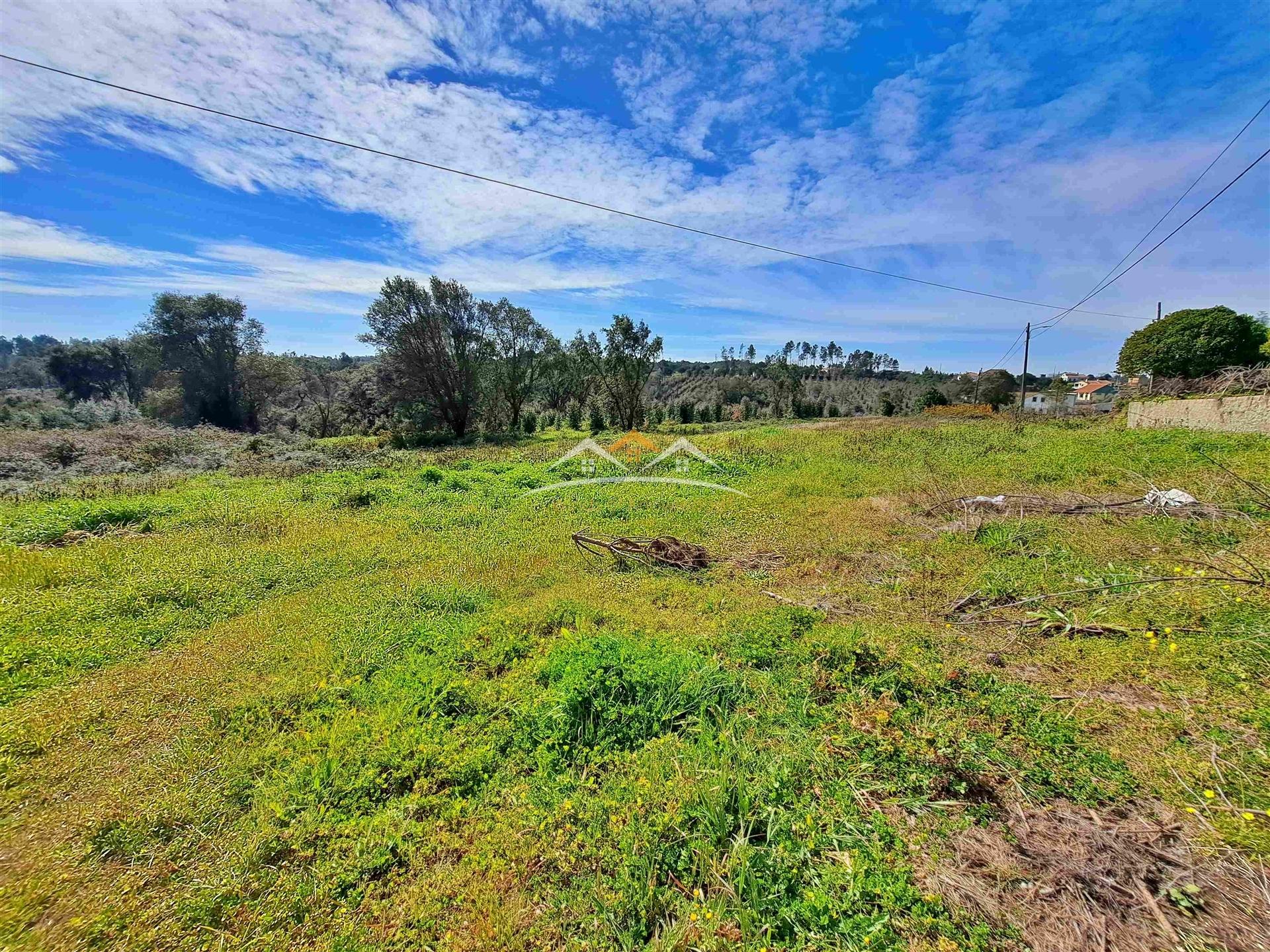 Terreno Para Construção  Venda em Olalhas,Tomar