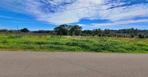 Terreno Para Construção  Venda em Olalhas,Tomar