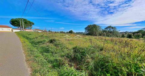 Terreno Para Construção  Venda em Olalhas,Tomar