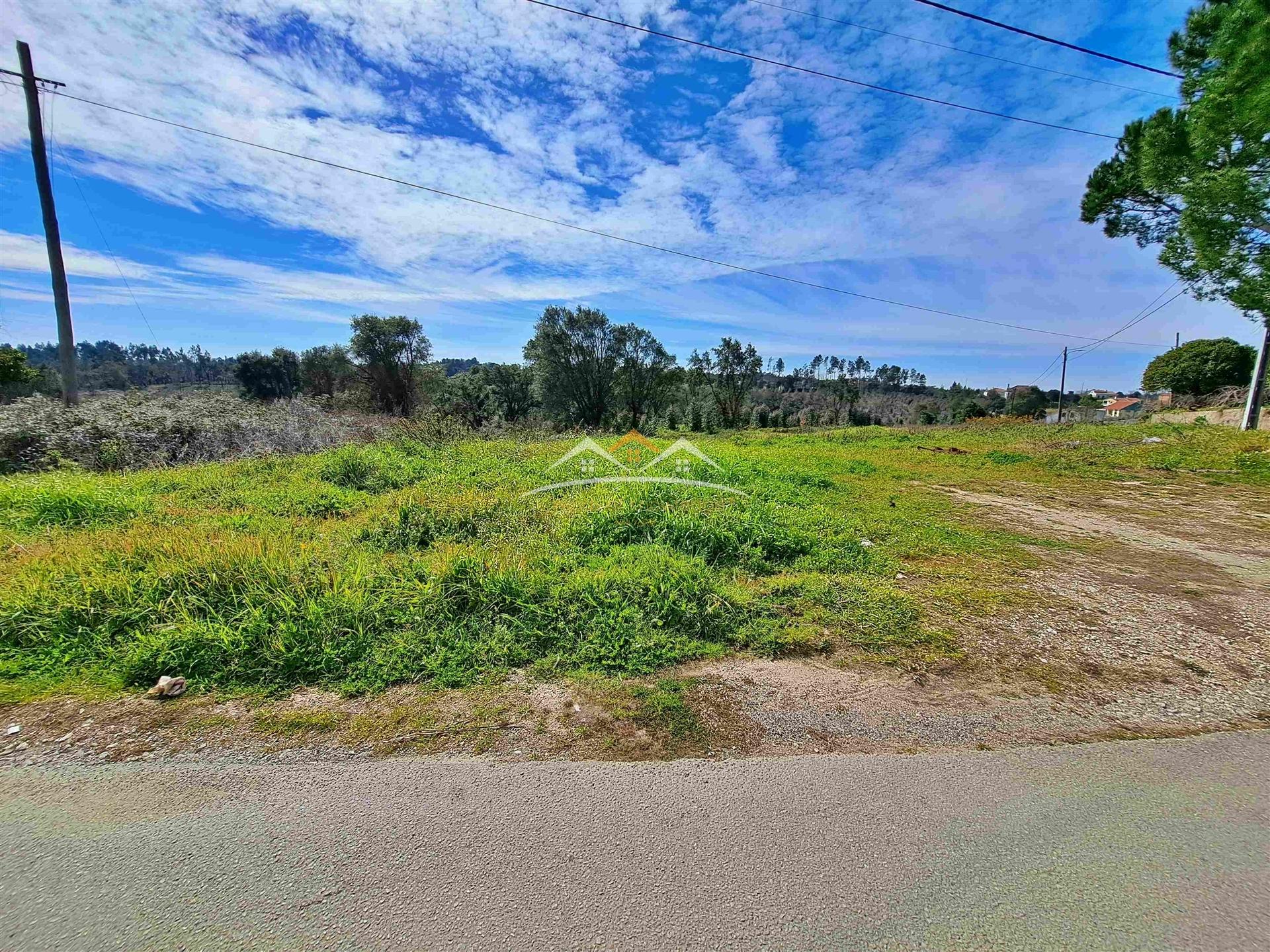 Terreno Para Construção  Venda em Olalhas,Tomar