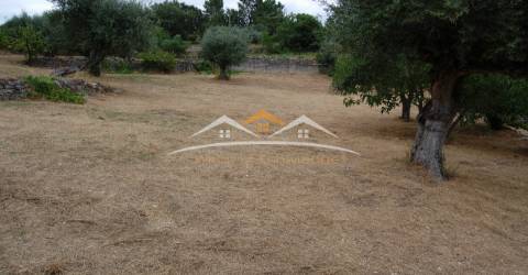 Moradia para Restaurar T3 Venda em Além da Ribeira e Pedreira,Tomar